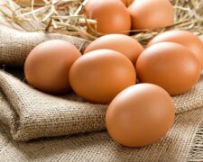 Все про користь і шкоду яєць: скільки можна з’їдати продукту на тиждень