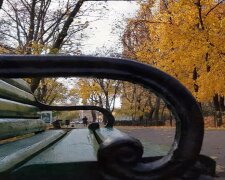 Прогноз погоды на неделю с 6 по 12 октября в Запорожье.