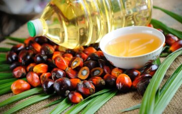 Придется ограничивать себя в еде: что повлечет за собой запрет пальмового масла в Украине