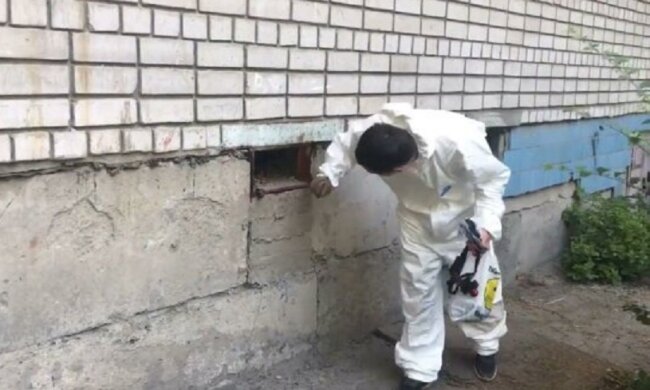 В домах Днепра разбросали опасный яд, кадры: "Постоянно гоняли и травили..."
