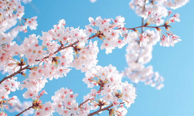 погода весна