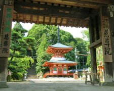 Японці присвятили храм жіночим грудям (фото)