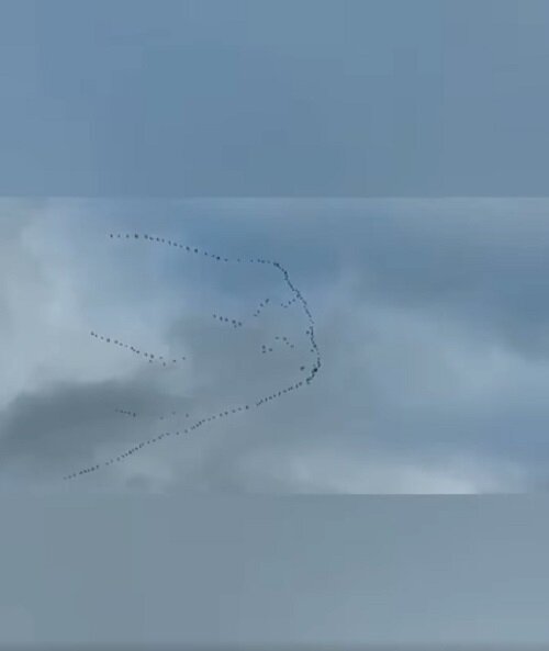 AbYFzPZVAHsTAd07pbg3J4ASB3A3mf7MFo3EdamK