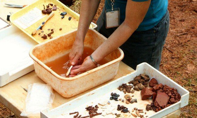 археолог, раскопки