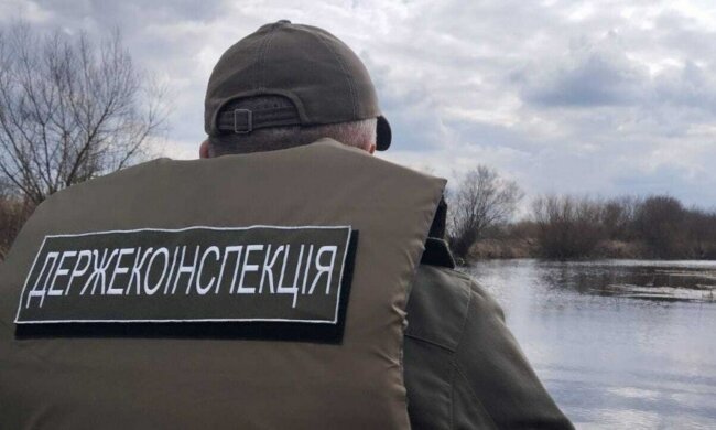 Держекоінспекція