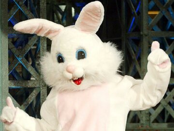 пасхальный кролик костюм