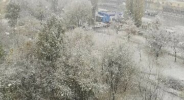 Пока все харьковчане спали: город начало засыпать снегом, завораживающие фото