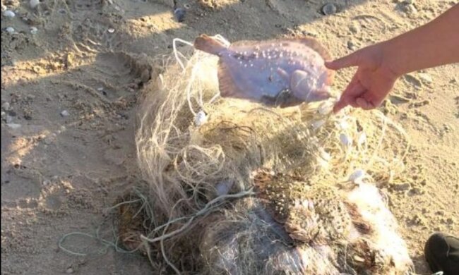 Півтора кілометра смертельних пасток: на Дніпрі екоінспектори вилучили гігантську кількість браконьєрських сіток