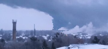 "Тушат десятки человек": под Киевом пылает масштабный пожар
