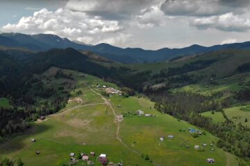 Ліси України