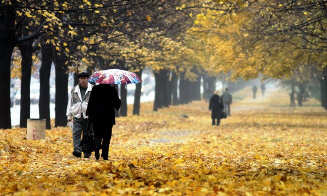 погода, осень