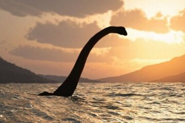 ui-5b2865c94ea6b5.29470061-1024×538