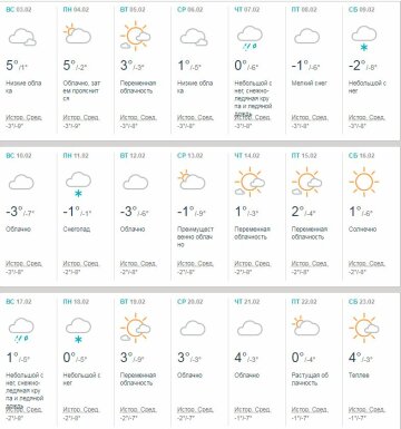 погода на февраль 2019 киев
