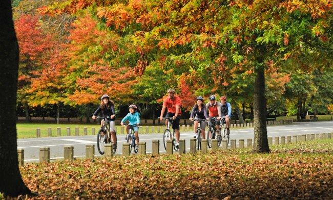 Четыре знака Зодиака поймают удачу за хвост: кто забудет о проблемах в октябре
