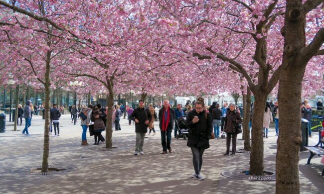 весна, люди