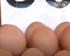 Подорожчання яєць в Харкові