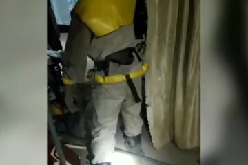 Неожиданный "гость" распугал жителей Кривого Рога, кадры: на место выехали спасатели