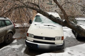 "Повалены деревья и электрические опоры": непогода обрушилась на Львов, фото последствий