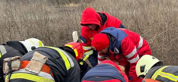  �������� ���� ����� �������� ����������� �������� ������� 