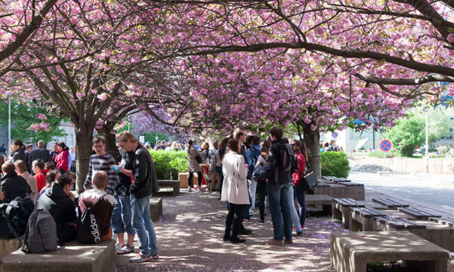 весна, люди