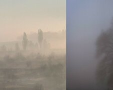 "Видимость меньше 50 метров": Харьковскую область заволокло густым туманом, кадры