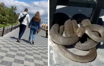 Харків'янин загримів до лікарні через укус змії: попередження медиків