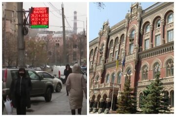 нбу, курс валют, курс доллара, обмен валют, осень, весна