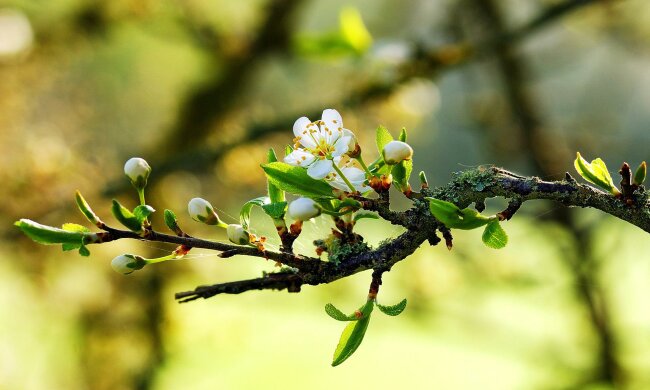погода в Украине