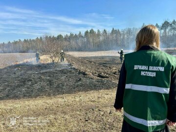 Регулярно фіксуються факти спалювання сухостою: Держекоінспекція активно проводить заходи щодо профілактики пожеж в екосистемах України