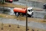 Київські комунальники полили дерева під час дощу: "Процес значно прискорюється"