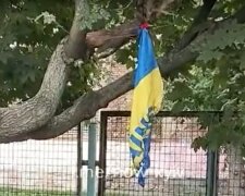 Викинули і спалили: школярі поглумилися над українським прапором на День Незалежності, кадри