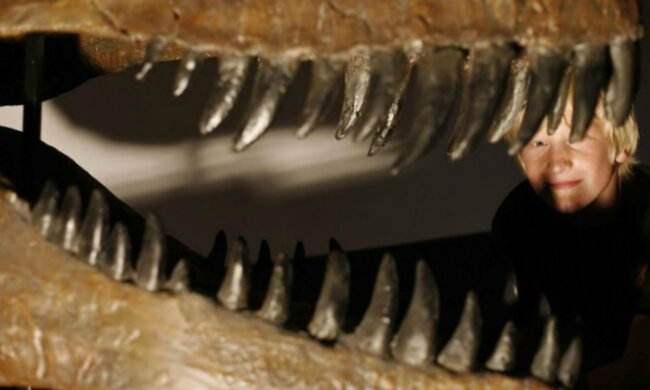 палеонтологи динозавр