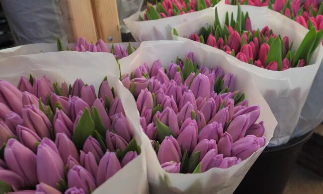 Подорожание цветов в Харькове: сколько придется отдать денег за праздничный букет до 8 марта