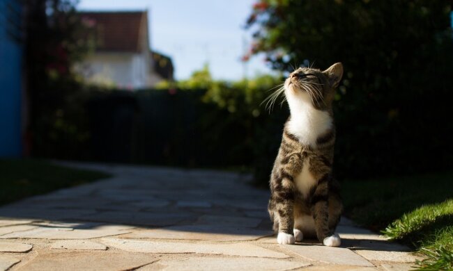 Погода в Украине 19 апреля