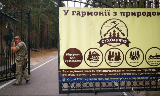 хонка, Сухолучье, Янукович