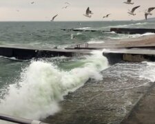 Південний шторм з величезними хвилями потріпне Одесу: що ще принесе циклон