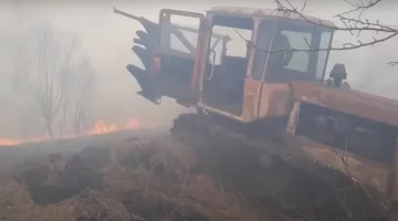 Палаючий сухостій забрав життя жінки на Харківщині: деталі трагедії