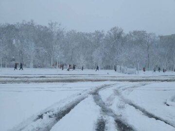 Аномальний снігопад в Харкові: повалені дерева, закритий аеропорт (фото)