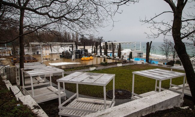 На популярному пляжі в Одесі знищили дерева заради ресторану: кадри варварства