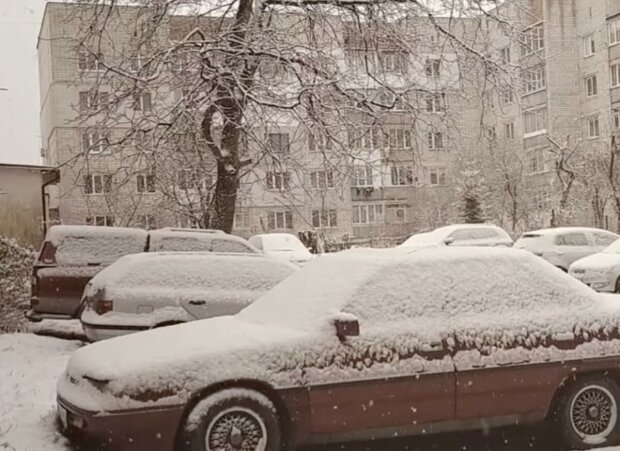 ����: politeka.net