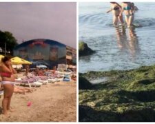 Новая напасть обрушилась на украинский курорт после медуз, кадры: отдых испорчен