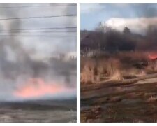 Под Харьковом масштабный пожар подобрался к жилым домам: область окутана черным дымом, кадры