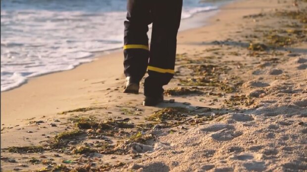 ����: politeka.net