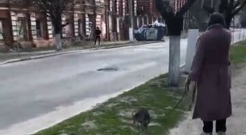 В Харькове пенсионерка поплатилась за выгул собаки, видео: "Немедленно нужно спасать"