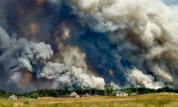 Лесные пожары в Луганской области: спасатели сделали экстренное заявление