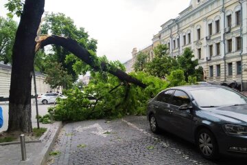 "Не виходьте на вулицю": стихія обрушилася на Київ, кадри руйнувань