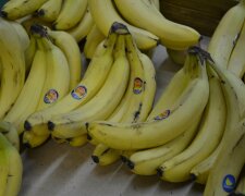 1445405432_dsc_7207