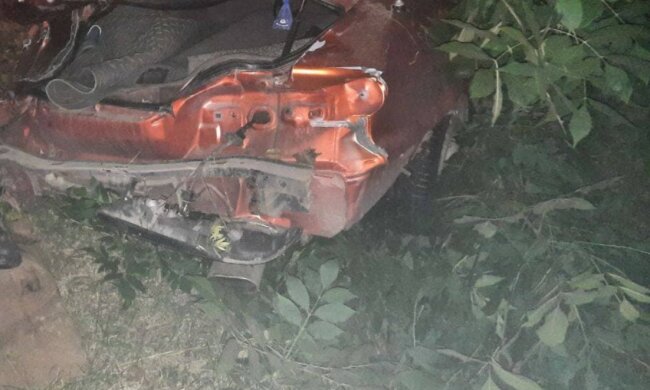 Авто зачепило жінку і дівчинку: у Харкові машина злетіла в кювет, кадри