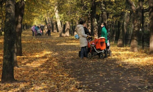 Проблемы останутся в прошлом: судьба готовит четырем знакам Зодиака крутой поворот в жизни