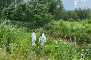 Екологи попередили киян: ворожий удар по нафтобазі отруїв озеро Кирилівське, рятувальники блокують розлив